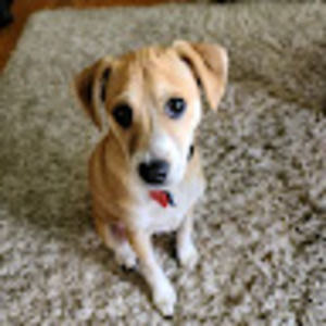 Meet your Posher, Jeremiah